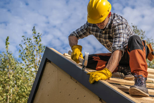 Best Roof Maintenance and Cleaning  in Jonesboro, GA